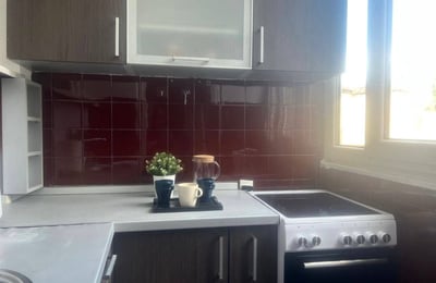 Rental of a comfortable 2-room apartment, 55 m², city center, Belgrade, Serbia